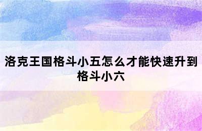 洛克王国格斗小五怎么才能快速升到格斗小六