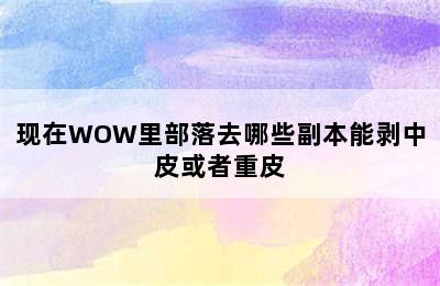 现在WOW里部落去哪些副本能剥中皮或者重皮