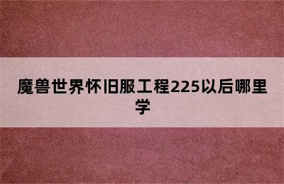 魔兽世界怀旧服工程225以后哪里学