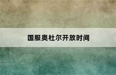 国服奥杜尔开放时间